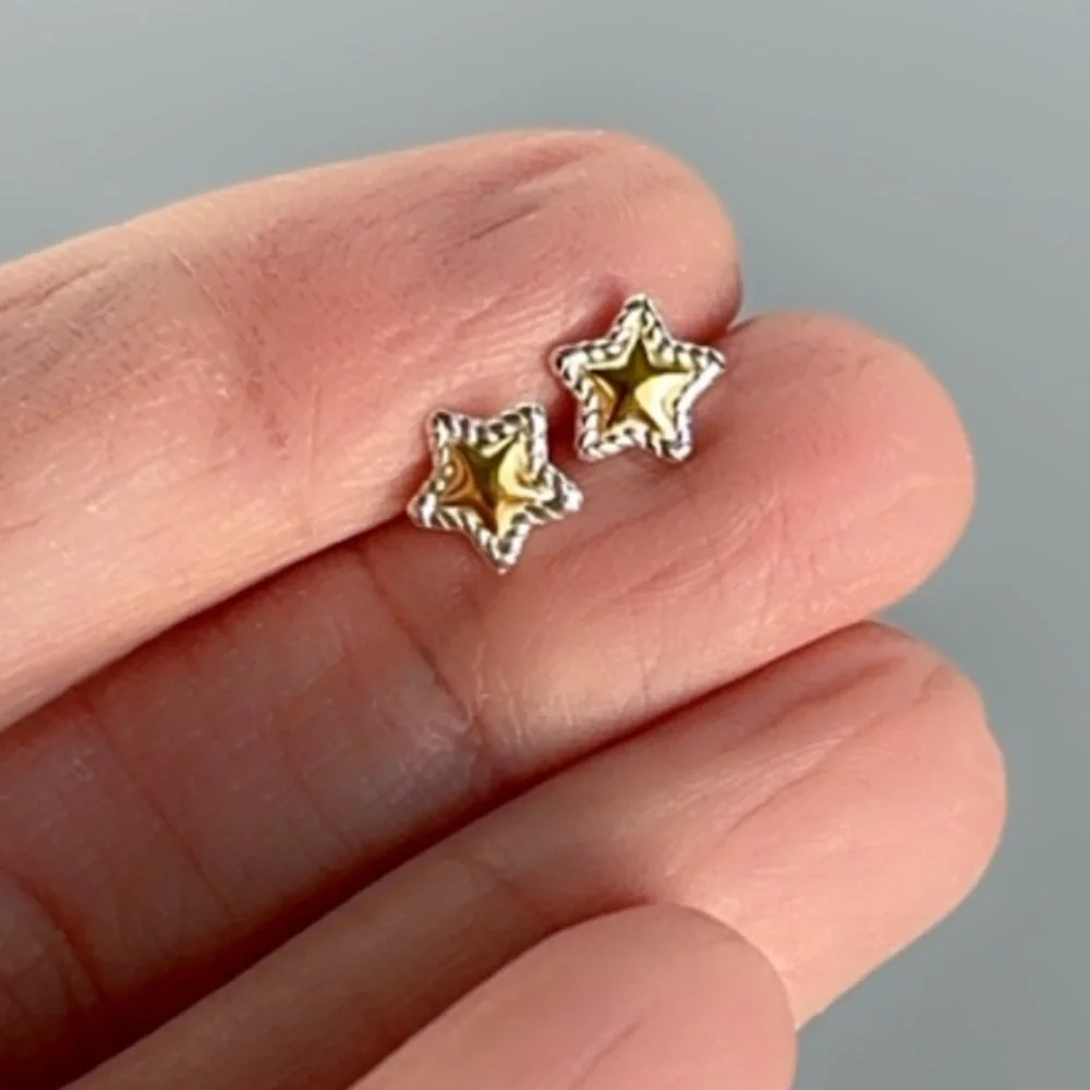 Sterling Silver Two Tone Tiny Star Studs